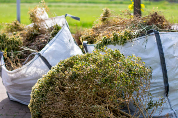 Professional Junk Removal in Ashland, CA